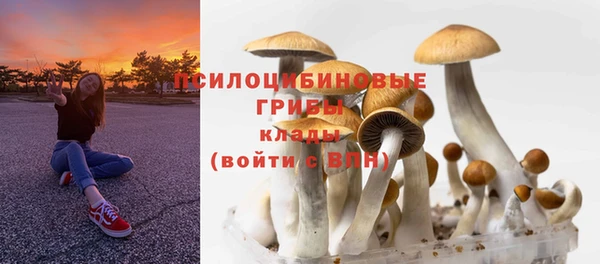 МДПВ Алзамай
