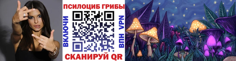 Галлюциногенные грибы MAGIC MUSHROOMS blacksprut маркетплейс Заволжск